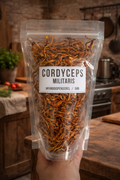 Cordyceps Militaris