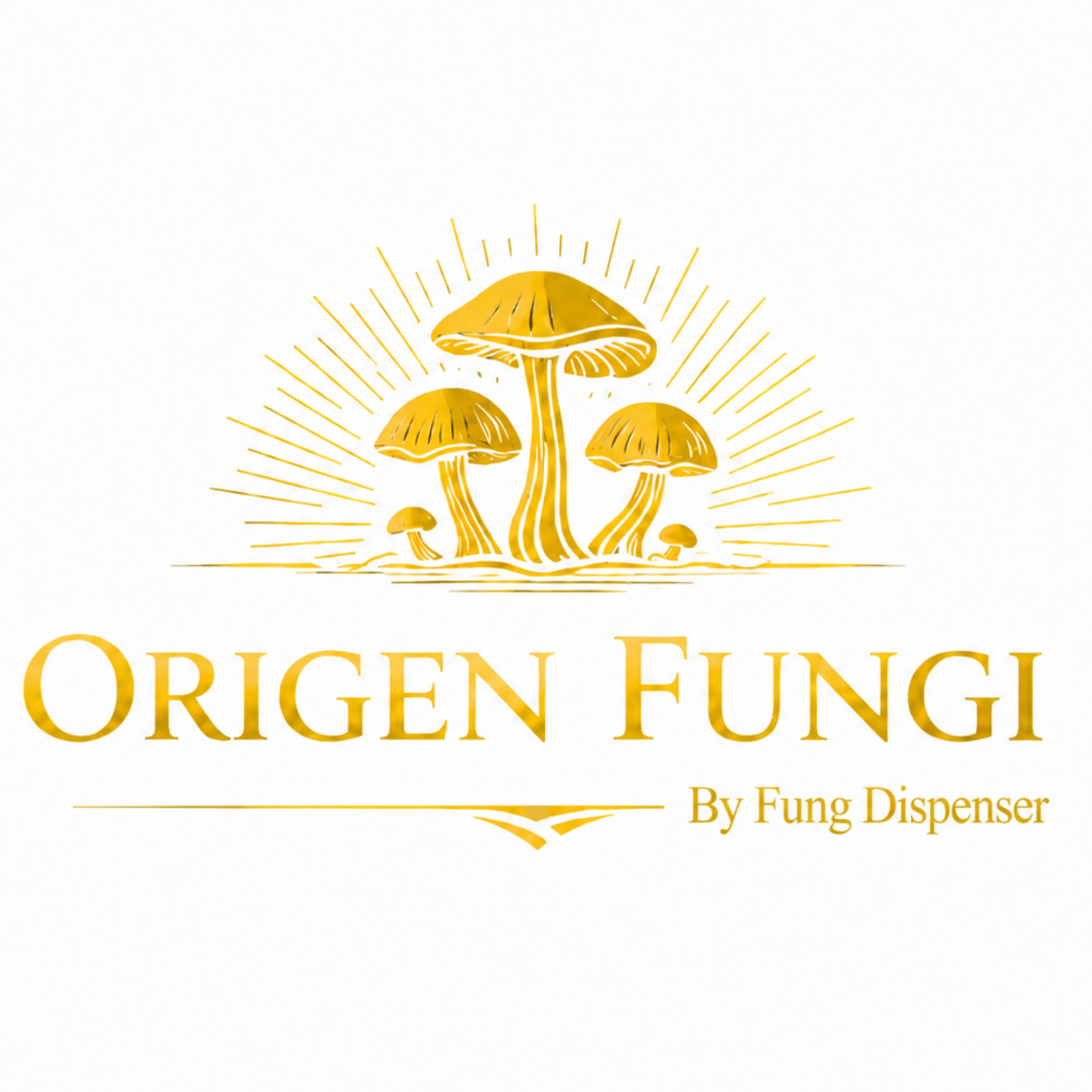 Origen Fungi